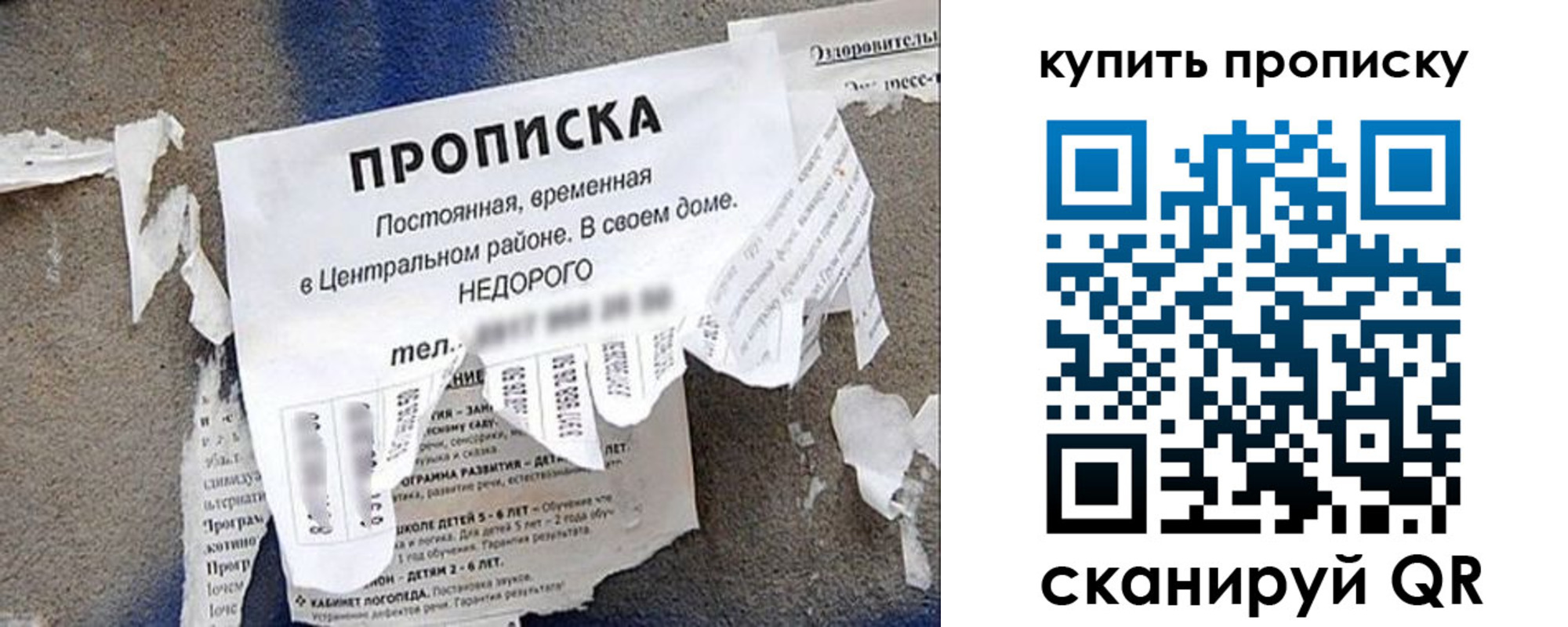 найти адрес прописки в Пушкино
